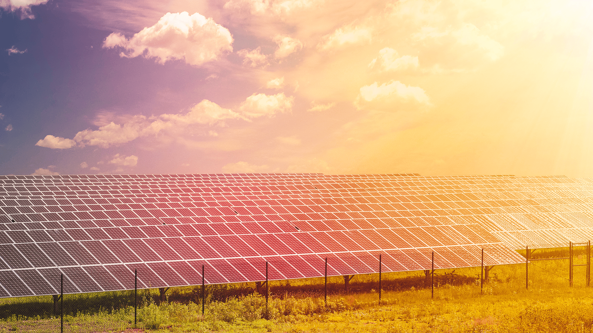 Enerjinizi Güneşten Üretin