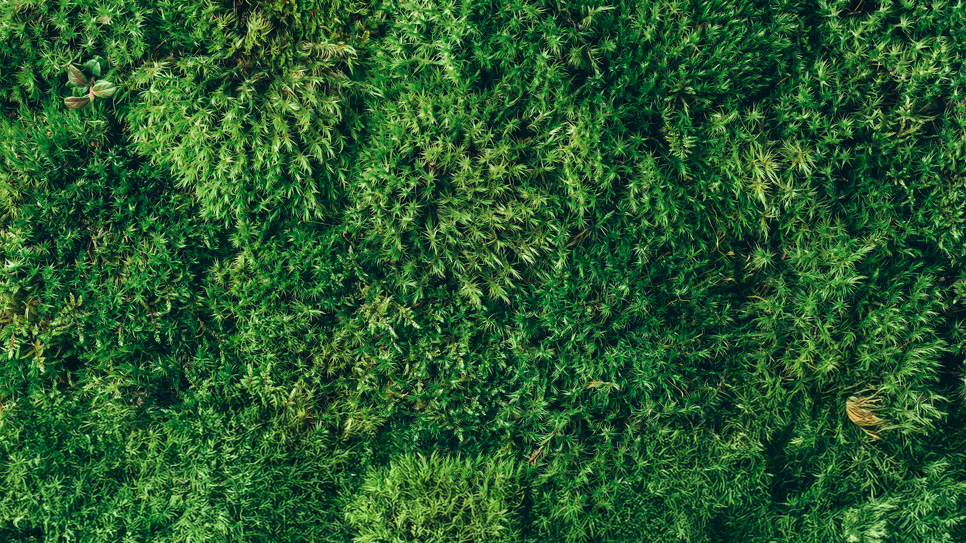 Sürdürülebilirlik - Tres Enerji